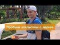 Красивый парк в Анталии, EXPO парк. Пробуем апельсин с дерева. Анталия 2019