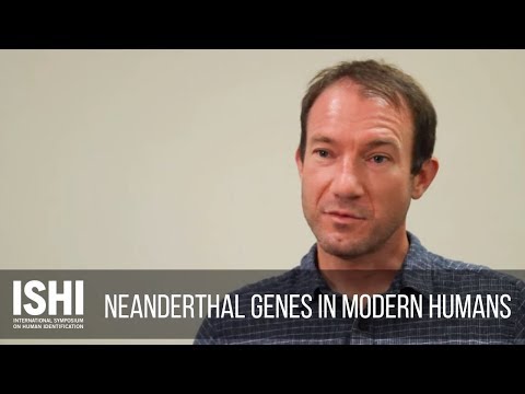 Video: Neandertalere Og Moderne Mennesker Har Aldrig Mødtes I Europa - Alternativ Visning