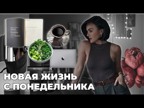 ПОЧЕМУ НЕ ПОЛУЧАЕТСЯ НАЧАТЬ НОВУЮ ЖИЗНЬ С ПОНЕДЕЛЬНИКА