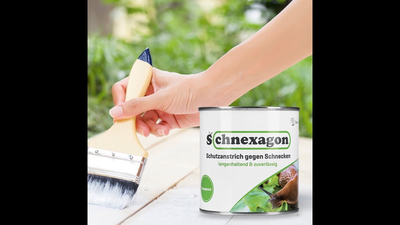 Schnexagon Schnexagon