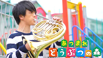 ホルン