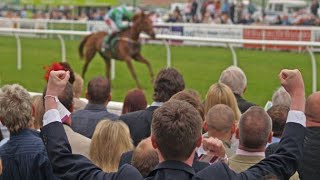 Horse Racing Oracle Automated Betting United Kingdom screenshot 5