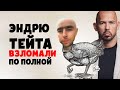 Взлом Онлайн Курсов Эндрю Тейта