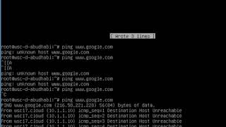 Celebrity PDNS Recursor command Wealth