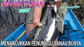 HANYA PEMANCING BER SKILL DEWA BISA PANEN IKAN BABONN CANTIK INI...😂😂🥰😍...