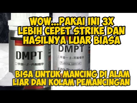 DMPT (VANILI JERMAN) ESSEN PENARIK IKAN YANG LEBIH CEPAT