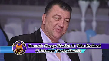 Formatia George Nicoloiu   Colaj Hore de petrecere la Valea Neagra 2020