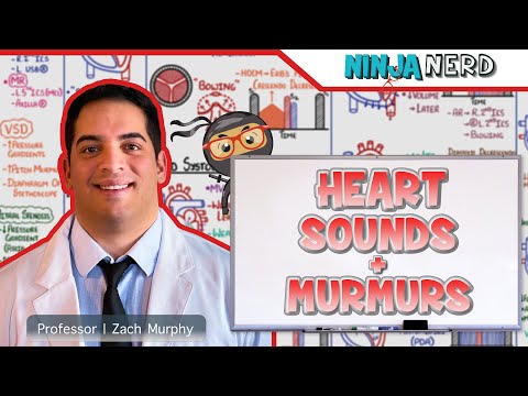 Heart Sounds & Murmurs | Clinical Medicine