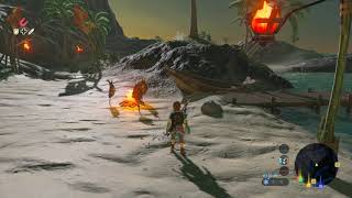 Breath Of The Wild - Lurelin Village Ambience Night