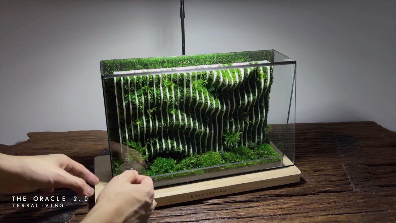 3D Printed Moss Art, Parametric Terrarium that can last for years