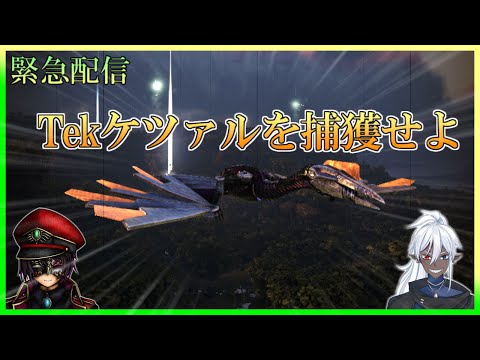 【ARK コラボ配信】緊急配信！！　機械仕掛けのケツァルコアトルをテイムせよ！！【VTuber/ラル=スコッチー】