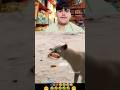 #funny#funnyshorts#funnyvideo#comedy#comedyshorts#comedyvideo#trending#trendingshorts#