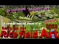 rice field art in Japan　best 4 rice field art