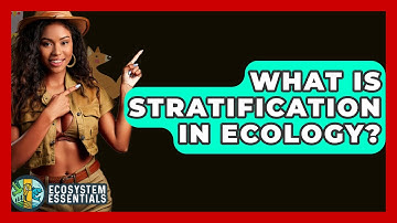 What Is Stratification In Ecology? - Ecosystem Essentials
