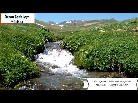 Canis çirimen Söz müzik :Özcan ÇETİNKAYA (შუბლაძე)  ნება მომეცი მსხვერპლი ვიყო