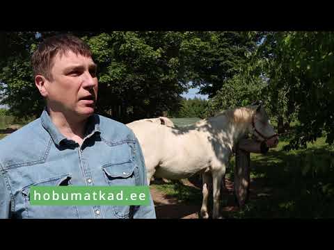 Rohelisem Põlvamaa: videointervjuu hobumatkadest jmt.
