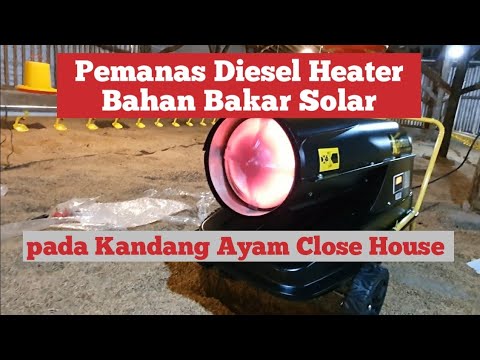Video: Boiler pemanas diesel: konsumsi bahan bakar, ulasan. Memilih boiler untuk pemanas rumah