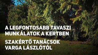 A legfontosabb tavaszi munkálatok a kertben – Szakértő tanácsok Varga Lászlótól