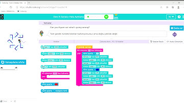 Code org   Kurs 2  Ders 11 Sanatçı  Hata Ayıklama  Bölüm 10