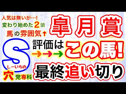 穴党専科❣️【皐月賞2024】しーいちの最終追い切りS評価→人気ないので気楽にいこうの２頭！