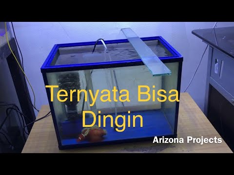 Video: Cara Mendinginkan Air Akuarium Anda