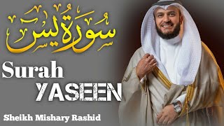 Surah Yaseen - Sheikh Mishary Rashid Alafasy | سورة يس