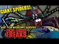 Why You Wouldn&#39;t Survive Eight Legged Freaks&#39; SPIDERPOCALYPSE