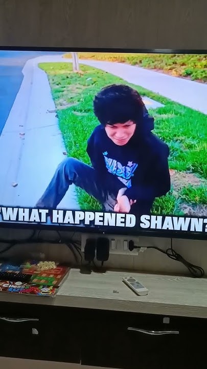 Si Si Si No No No Stokes Twins stokes twins shawn si si si si no no no no 😂🤣😂🤣😂 - YouTube