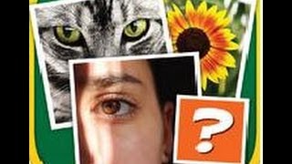 4 Pics - Find the odd one! Level 9 Answer screenshot 5