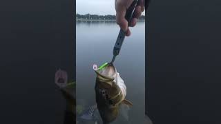 Fishing Hack, Chatter using Soda Can Tab