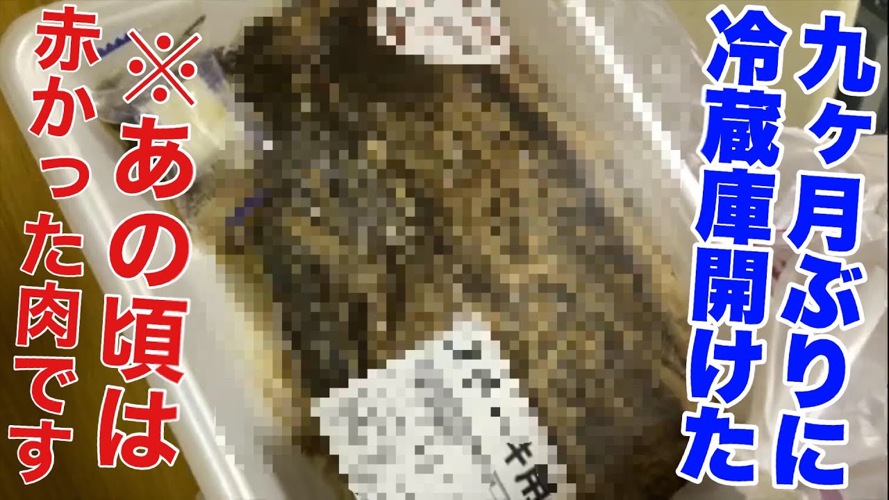 【閲覧注意】9ヶ月放置した冷蔵庫の食材を匂います【石川典行】