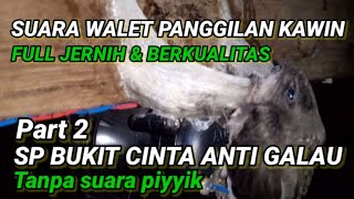 Download Lagu SP BUKIT CINTA ANTI GALAU part2. suara panggilan kawin burung walet MP3