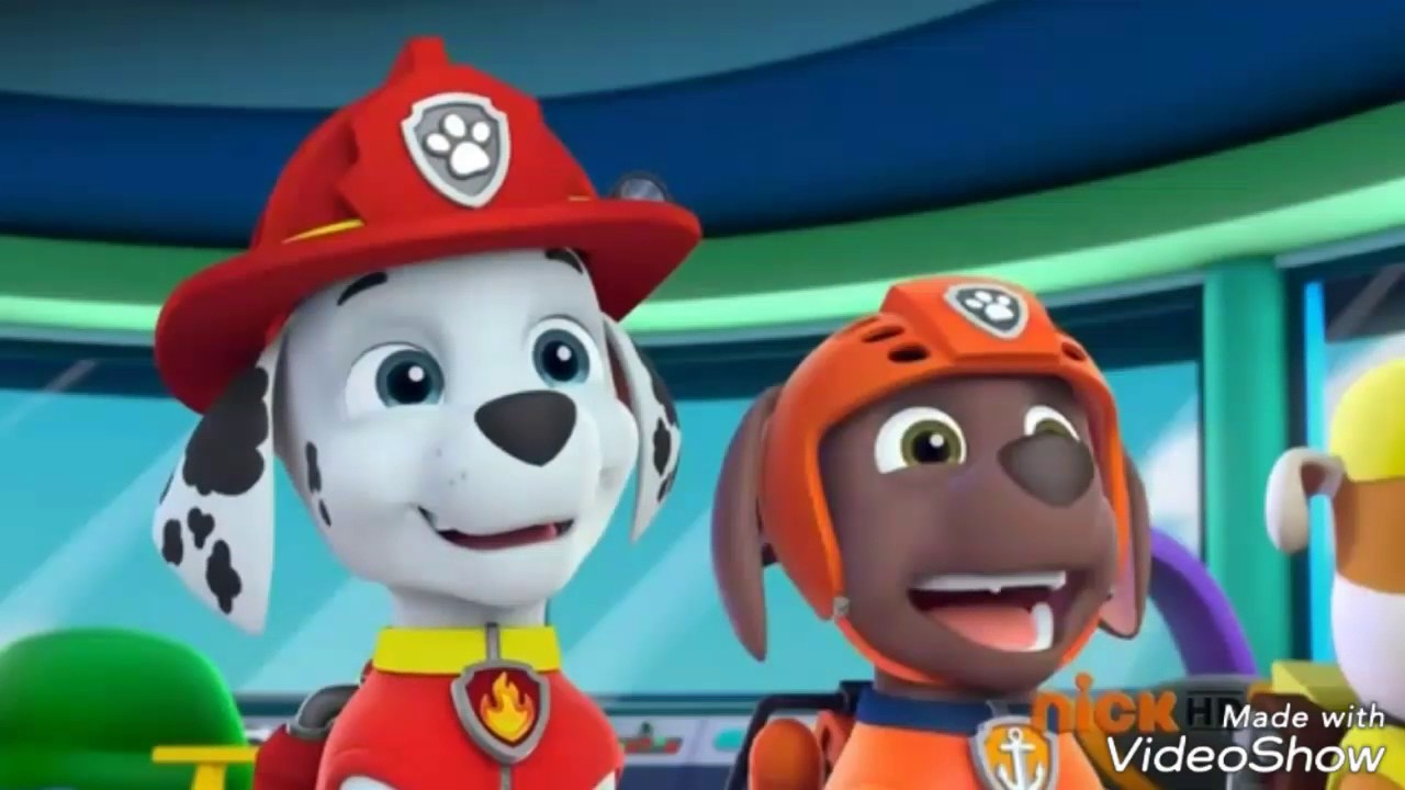 BREAKING NEWS: Carter Thorne takes Over as Zuma in Paw Patrol and PJ Masks  - YouTube