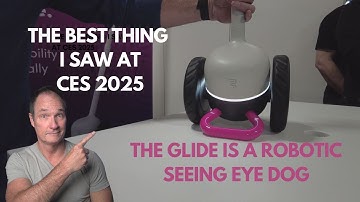 See a robotic seeing-eye dog for the blind