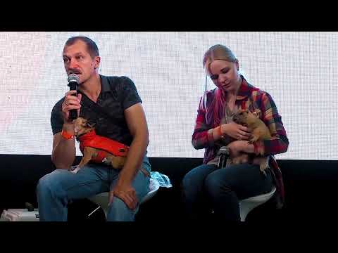 PetShop Days SPb 2018 / Petshop Days СПб 2018