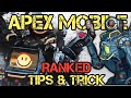 TIPS & TRICK PUSH RANK DI APEX LEGENDS MOBILE!!