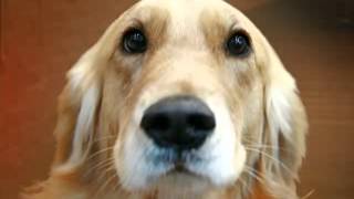 Capture 20120524 5