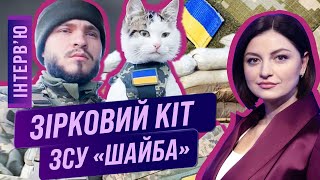 Бойовий кіт Шайба у ЗСУ: Як військовослужбовець потрапив до котячого полону / ІНТЕРВ‘Ю