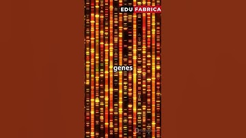 Unlocking the Secrets of Genomes!