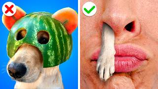 Download Lagu How to Sneak Animals Into School - Smart Sneaking Ideas MP3 Download Lagu How to Sneak Animals Into School - Smart Sneaking Ideas MP3