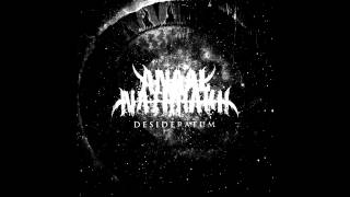 Anaal Nathrakh - Acheronta Movebimus