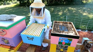 Using Snelgrove Board To Stop Honey Bees From Swarming