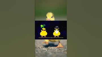 🦆 DuckChain is now featured on Binance Web3 Wallet