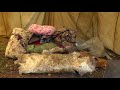 Заготовка брусники на зиму и обзор эвенкийской палатки