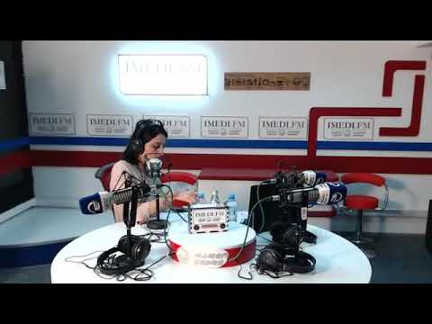 საქართველოს სოციალურ ეკონომიკური ფონი/“დღის არხი“/რადიო იმედი, Radio Imedi