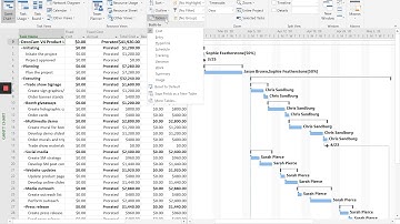 MS Project Tutorial #5 - Creating/assigning material resources, Entering costs, The cost table
