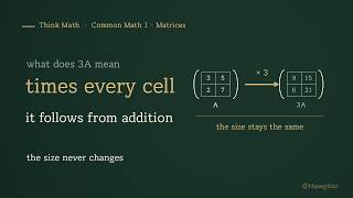 Why Does Multiplying a Matrix by a Number Hit Every Entry | Think Math · Matrices ⑨