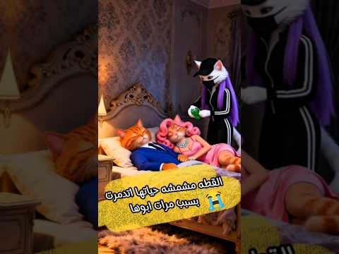 القطه مشمشه حياتها اتدمرت بسبب مرات ابوها