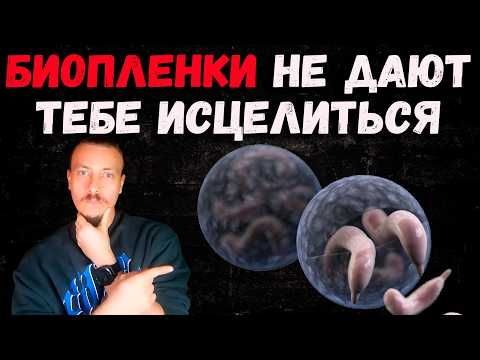 Кандида и бактерии в биопленках неуязвимы для иммунитета