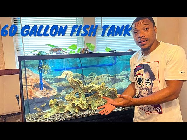 Cleaning 60 Gallon Fish Tank (Removing Algae) 